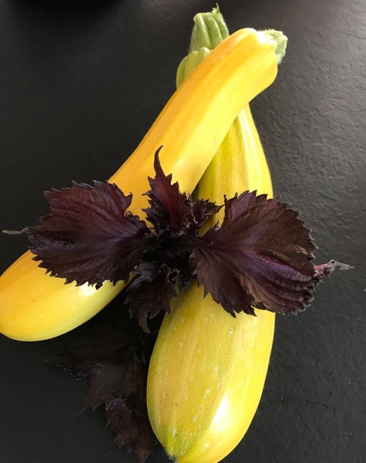 squash til syltning