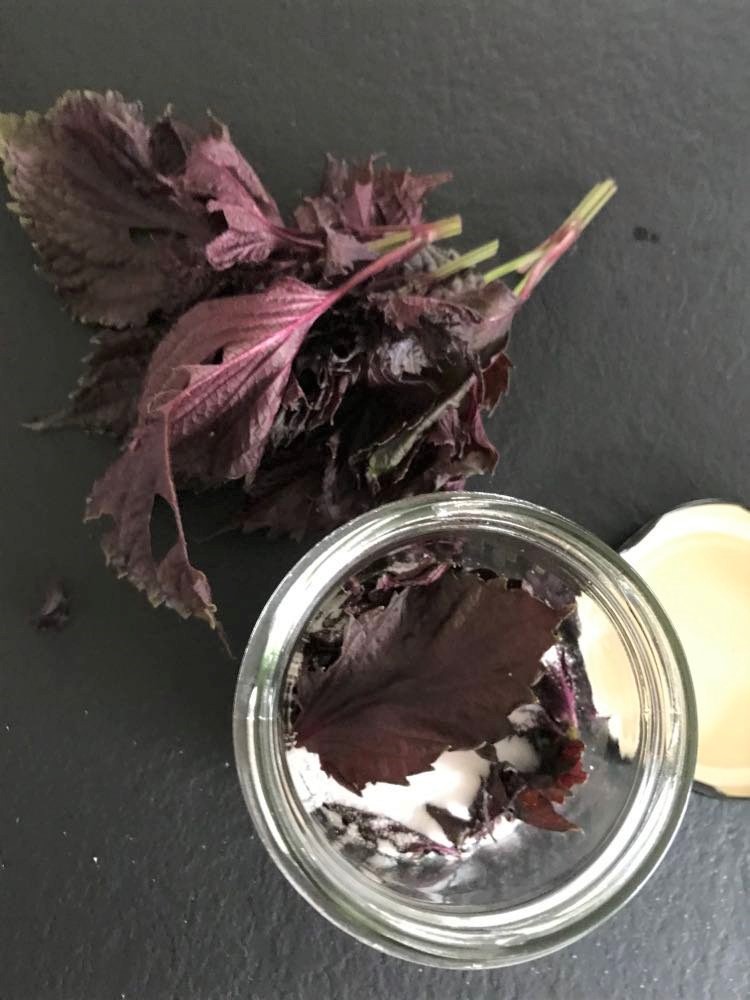 saltede shiso blade